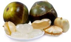 Apakah Kolang-Kaling Baik untuk Tulang? Ini Penjelasannya